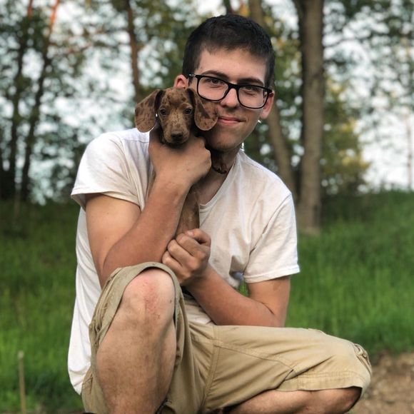 Meet your Posher, Dylan - Picture 1 of 1